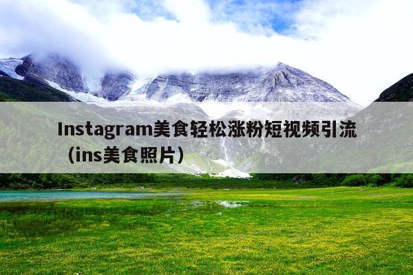 Instagram美食轻松涨粉短视频引流(ins美食照片)