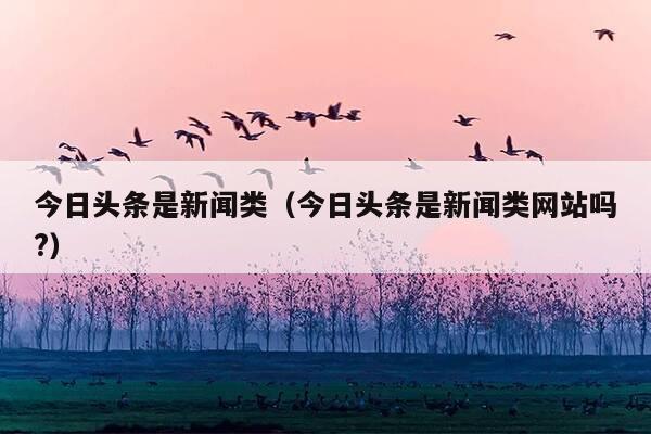 今日头条是新闻类(今日头条是新闻类网站吗?)