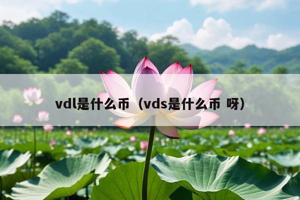 vdl是什么币(vds是什么币 呀)