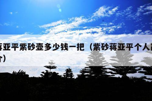 蒋亚平紫砂壶多少钱一把(紫砂蒋亚平个人简介)