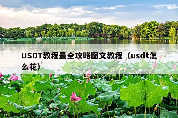 USDT教程最全攻略图文教程(usdt怎么花)