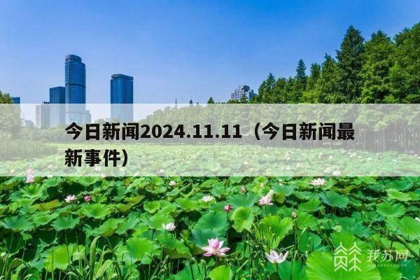 今日新闻2024.11.11(今日新闻最新事件)