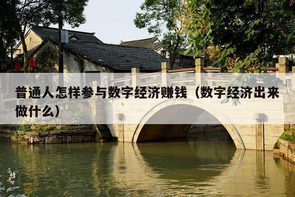 普通人怎样参与数字经济赚钱(数字经济出来做什么)