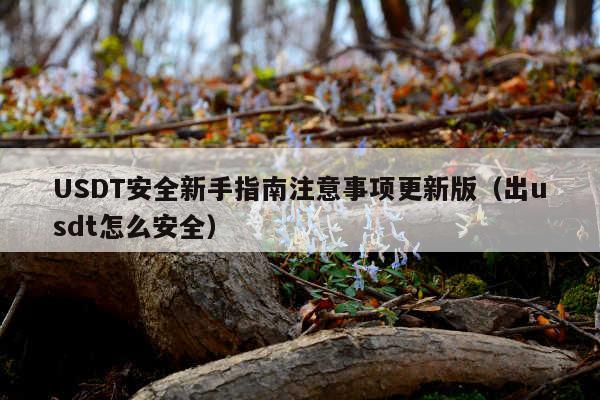 USDT安全新手指南注意事项更新版(出usdt怎么安全)