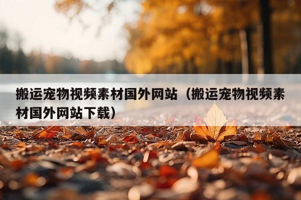 搬运宠物视频素材国外网站(搬运宠物视频素材国外网站下载)