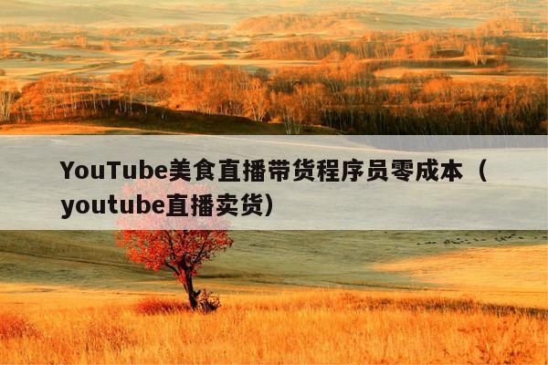 YouTube美食直播带货程序员零成本(youtube直播卖货)