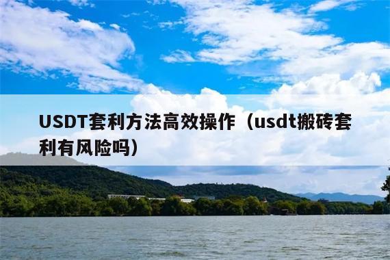 USDT套利方法高效操作(usdt搬砖套利有风险吗)