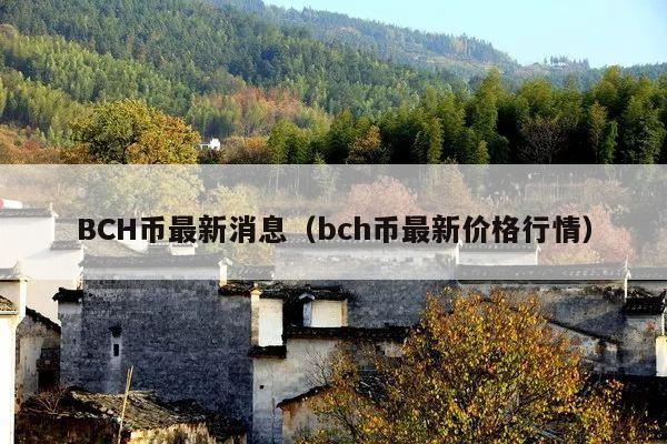 BCH币最新消息(bch币最新价格行情)