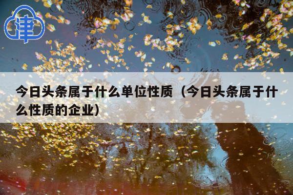 今日头条属于什么单位性质(今日头条属于什么性质的企业)
