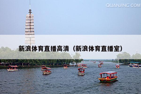 新浪体育直播高清(新浪体育直播室)