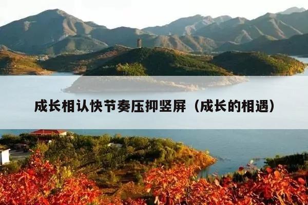 成长相认快节奏压抑竖屏(成长的相遇)