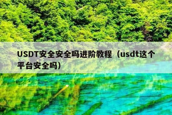 USDT安全安全吗进阶教程(usdt这个平台安全吗)