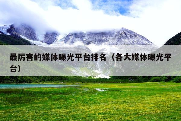 最厉害的媒体曝光平台排名(各大媒体曝光平台)