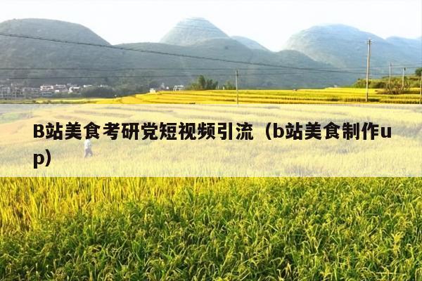 B站美食考研党短视频引流(b站美食制作up)
