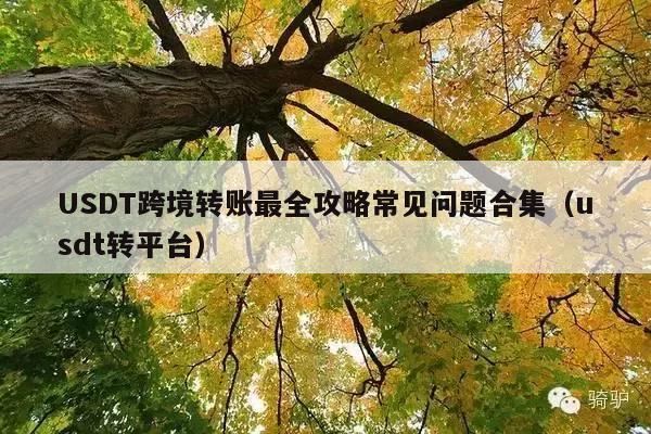 USDT跨境转账最全攻略常见问题合集(usdt转平台)