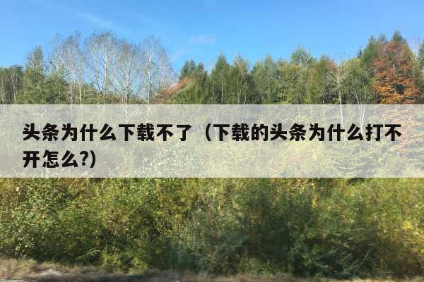 头条为什么下载不了(下载的头条为什么打不开怎么?)