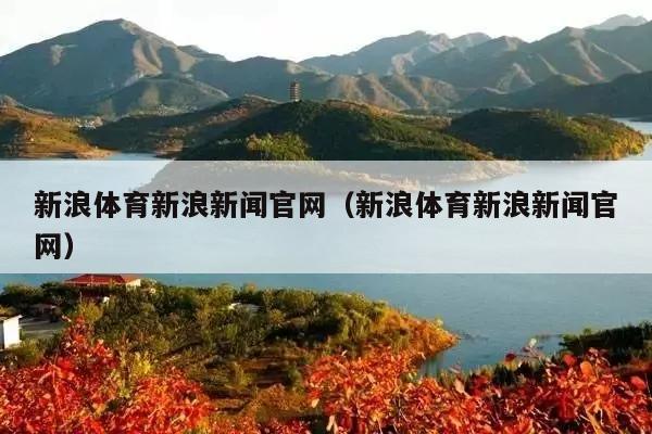 新浪体育新浪新闻官网(新浪体育新浪新闻官网)