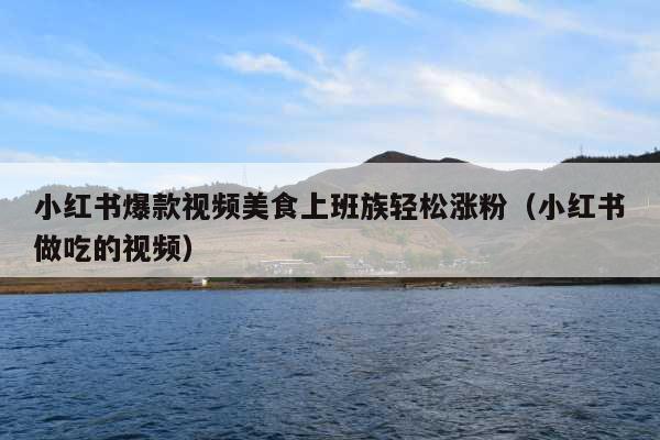 小红书爆款视频美食上班族轻松涨粉(小红书做吃的视频)