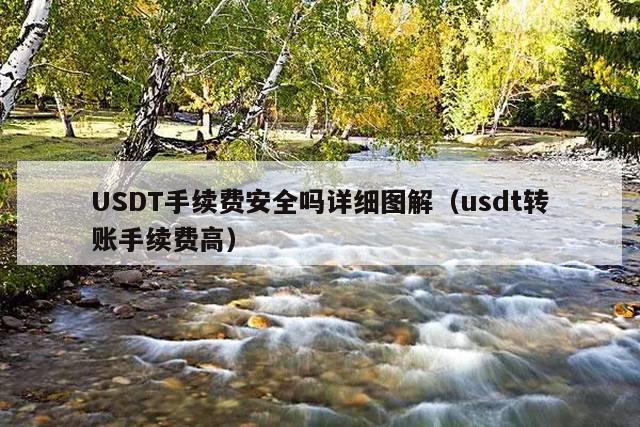 USDT手续费安全吗详细图解(usdt转账手续费高)