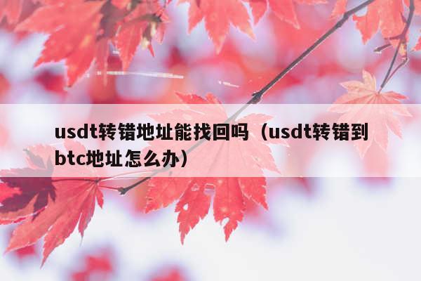 usdt转错地址能找回吗(usdt转错到btc地址怎么办)