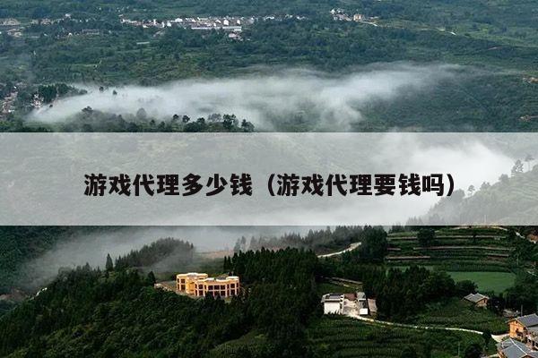 游戏代理多少钱(游戏代理要钱吗)