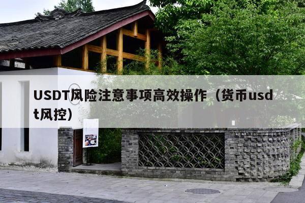 USDT风险注意事项高效操作(货币usdt风控)