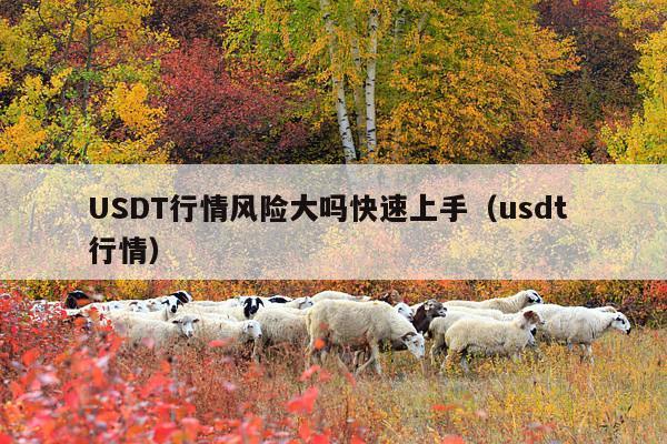 USDT行情风险大吗快速上手(usdt 行情)