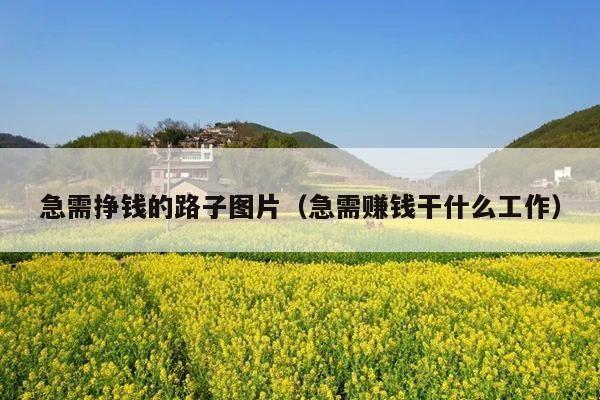 急需挣钱的路子图片(急需赚钱干什么工作)
