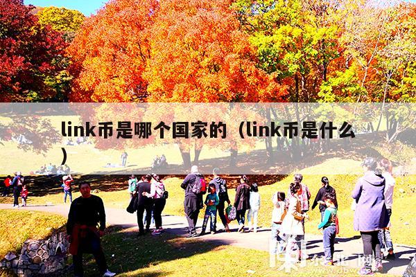 link币是哪个国家的(link币是什么)