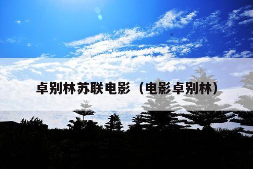 卓别林苏联电影(电影卓别林)