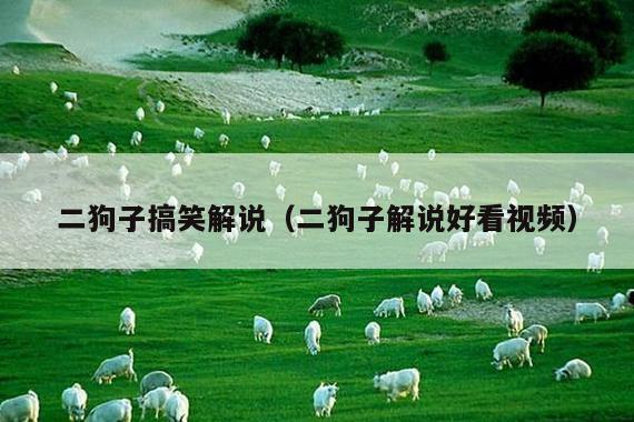 二狗子搞笑解说(二狗子解说好看视频)