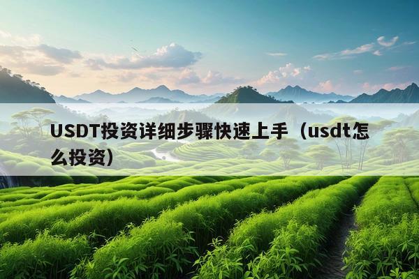 USDT投资详细步骤快速上手(usdt怎么投资)