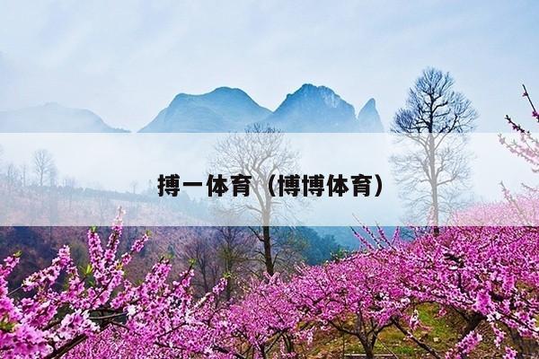 搏一体育(博博体育)