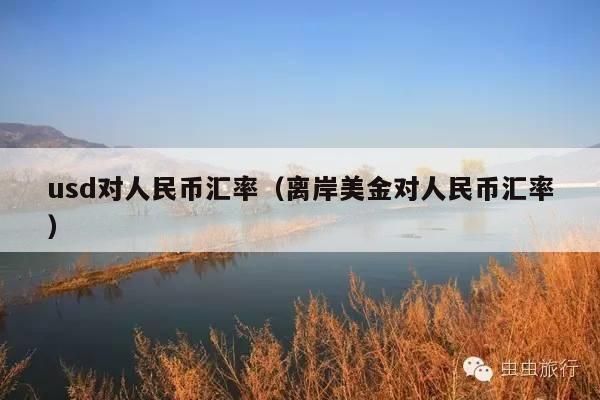 usd对人民币汇率(离岸美金对人民币汇率)