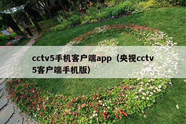 cctv5手机客户端app(央视cctv5客户端手机版)