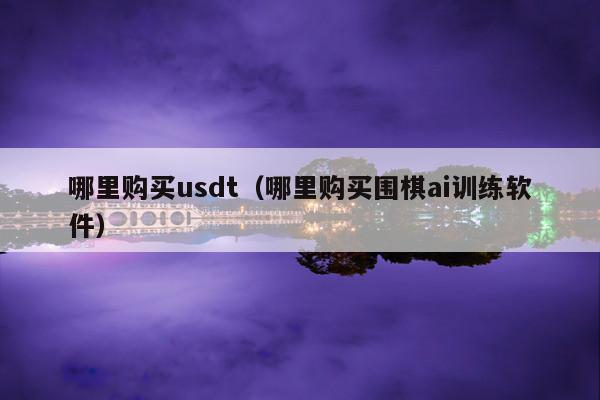 哪里购买usdt(哪里购买围棋ai训练软件)