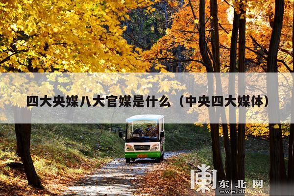 四大央媒八大官媒是什么(中央四大媒体)