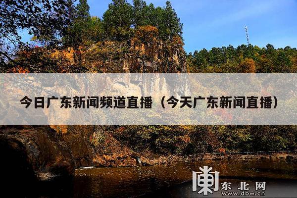今日广东新闻频道直播(今天广东新闻直播)