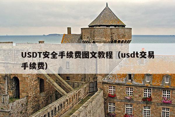 USDT安全手续费图文教程(usdt交易手续费)