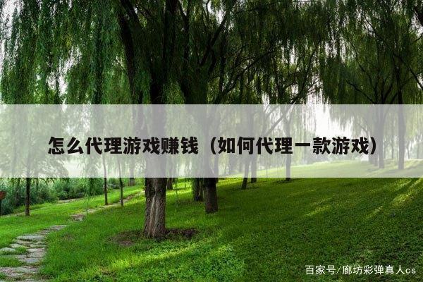 怎么代理游戏赚钱(如何代理一款游戏)