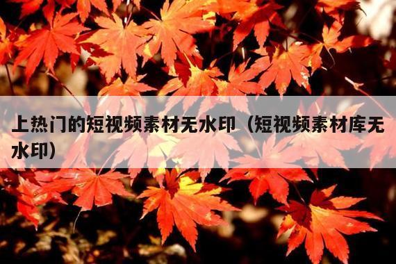 上热门的短视频素材无水印(短视频素材库无水印)