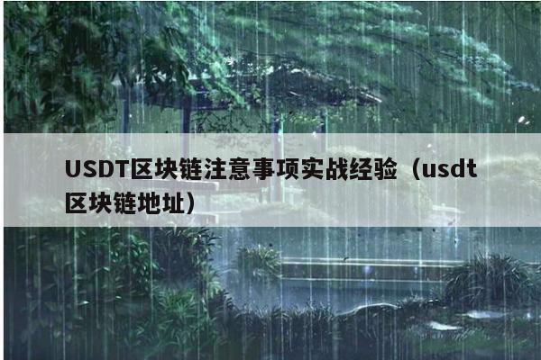 USDT区块链注意事项实战经验(usdt区块链地址)
