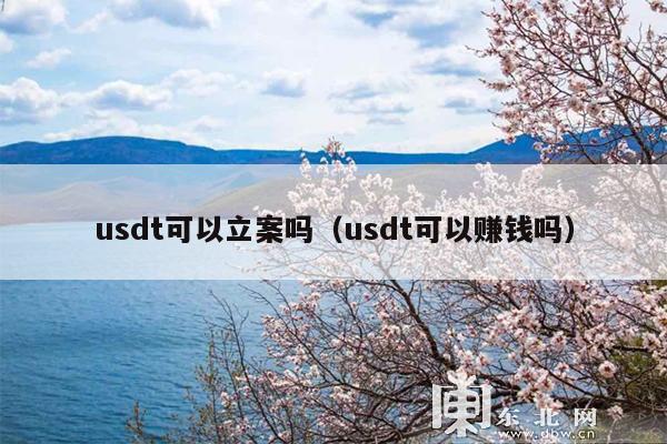 usdt可以立案吗(usdt可以赚钱吗)