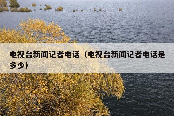 电视台新闻记者电话(电视台新闻记者电话是多少)