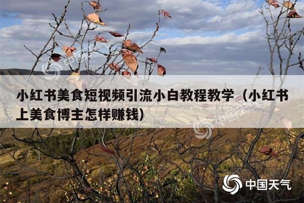 小红书美食短视频引流小白教程教学(小红书上美食博主怎样赚钱)