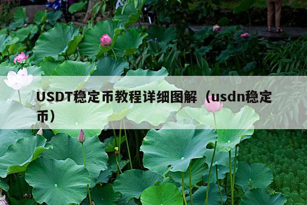 USDT稳定币教程详细图解(usdn稳定币)