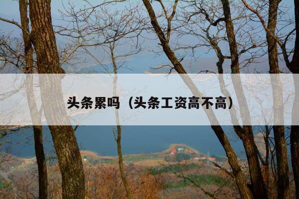 头条累吗(头条工资高不高)