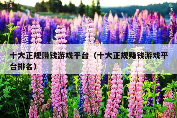 十大正规赚钱游戏平台(十大正规赚钱游戏平台排名)