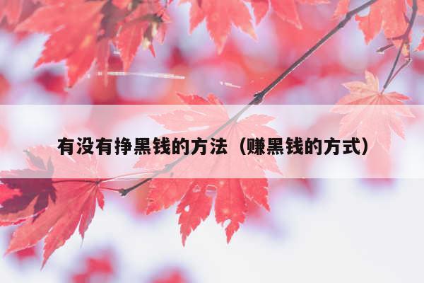 有没有挣黑钱的方法(赚黑钱的方式)