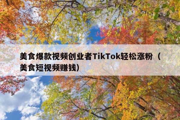 美食爆款视频创业者TikTok轻松涨粉(美食短视频赚钱)